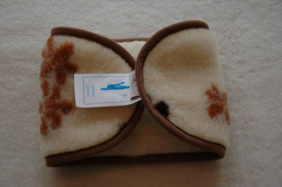 Narrow winter back brace with magnet